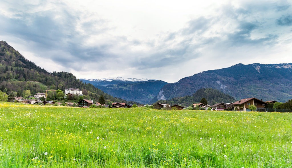 Les vins de montagne
