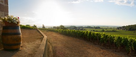 La Saint-Vincent tournante : la fête vigneronne, tradition du folklore Bourguignon