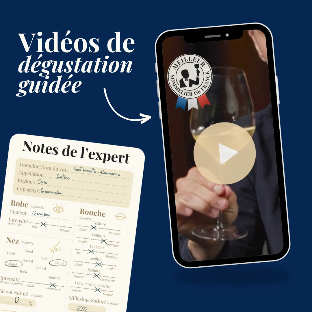 Calendrier avent vin video de dégustation