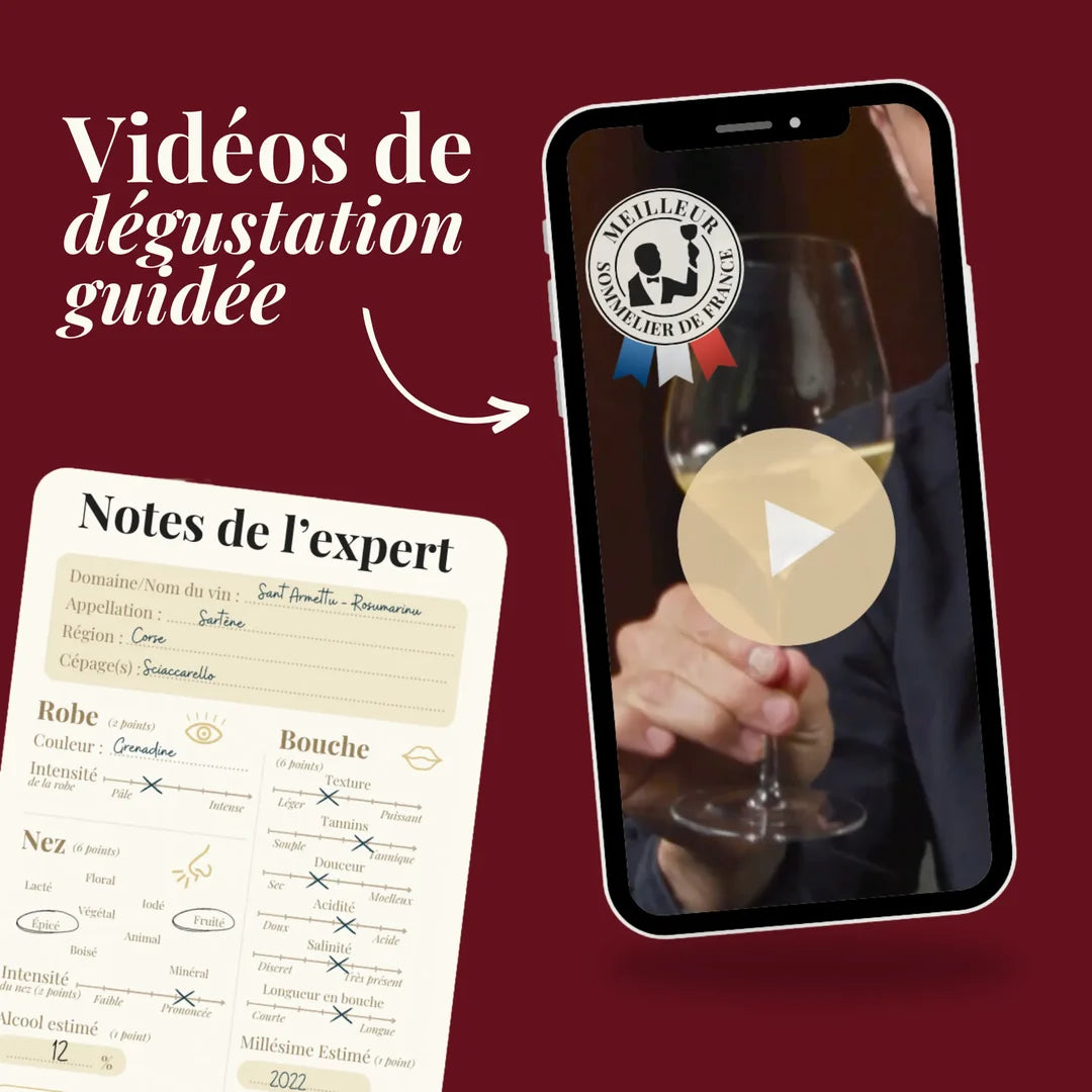 calendrier avent vin video dégustation
