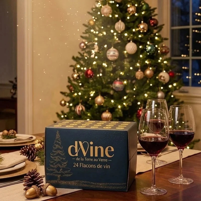 coffret vin dVine 24 flacons de 10 cl